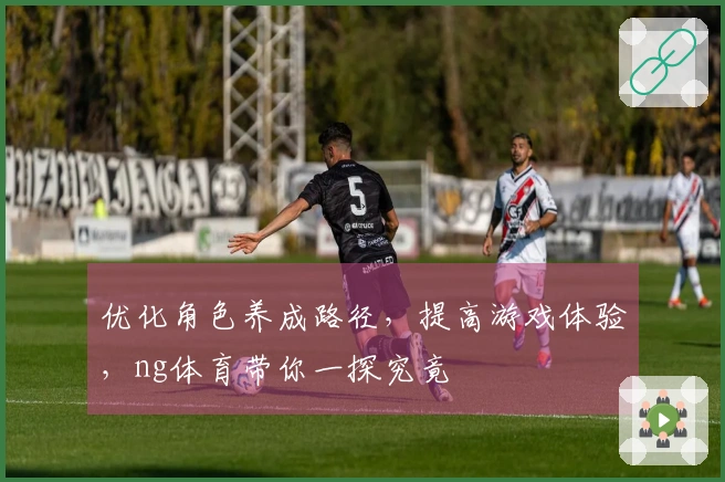 优化角色养成路径,提高游戏体验,ng体育带你一探究竟
